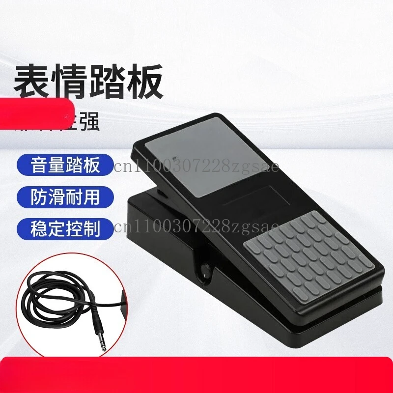 

Electronic piano Universal expression pedal Synthesizer Electric piano Volume pedal Performance pedal KEP100