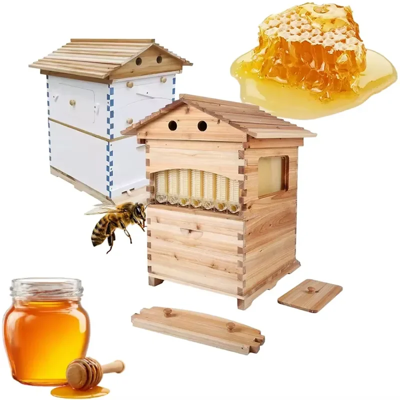 

New Auto Flowing Beehive with 2 Honeybee Boxes Automatic Self Flowing Home & Farm Use 1 Year Warranty