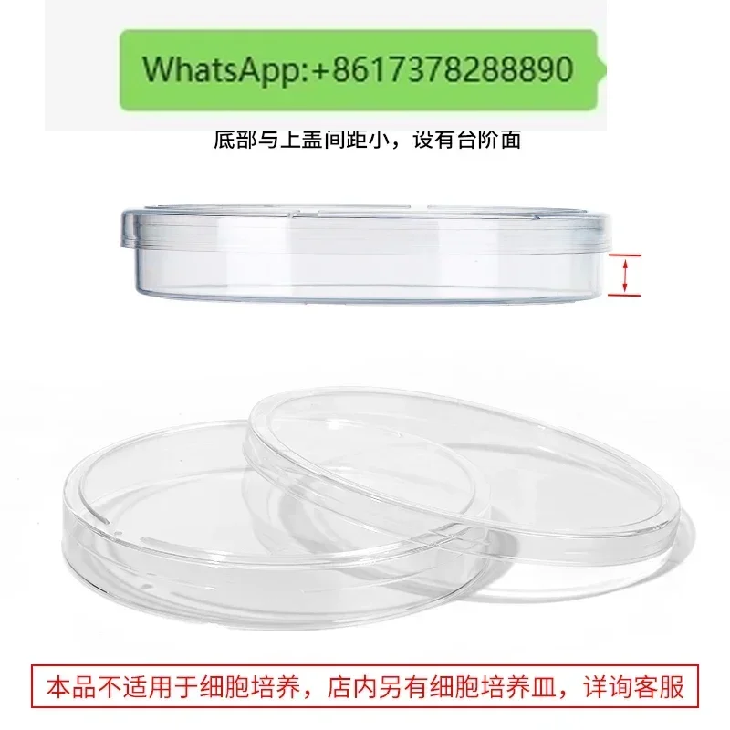 Biological Disposable Plastic Petri Dish Sterile 90mm60mm Square Bacteria Cell Petri Dish Bag