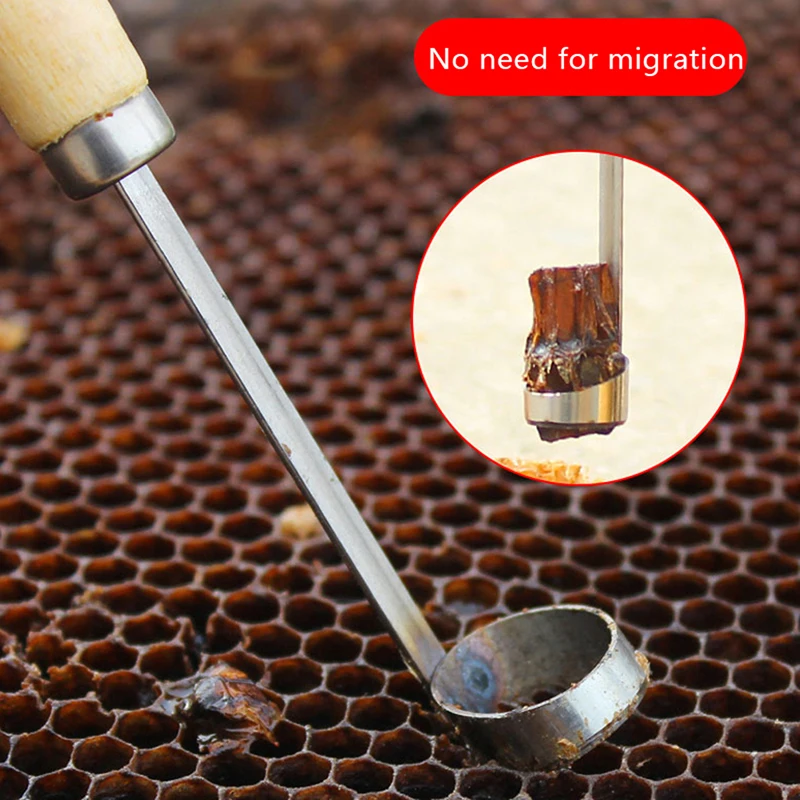 Beekeeping BeeHive Tools Beehive Cleaning Scraper Functional Honey Remover Beekeepers Supplies for Beekeeper Garden Equipment