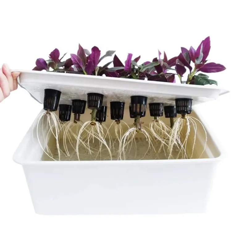 صندوق زراعة مائية بلاستيكي داخلي بنمط جديد