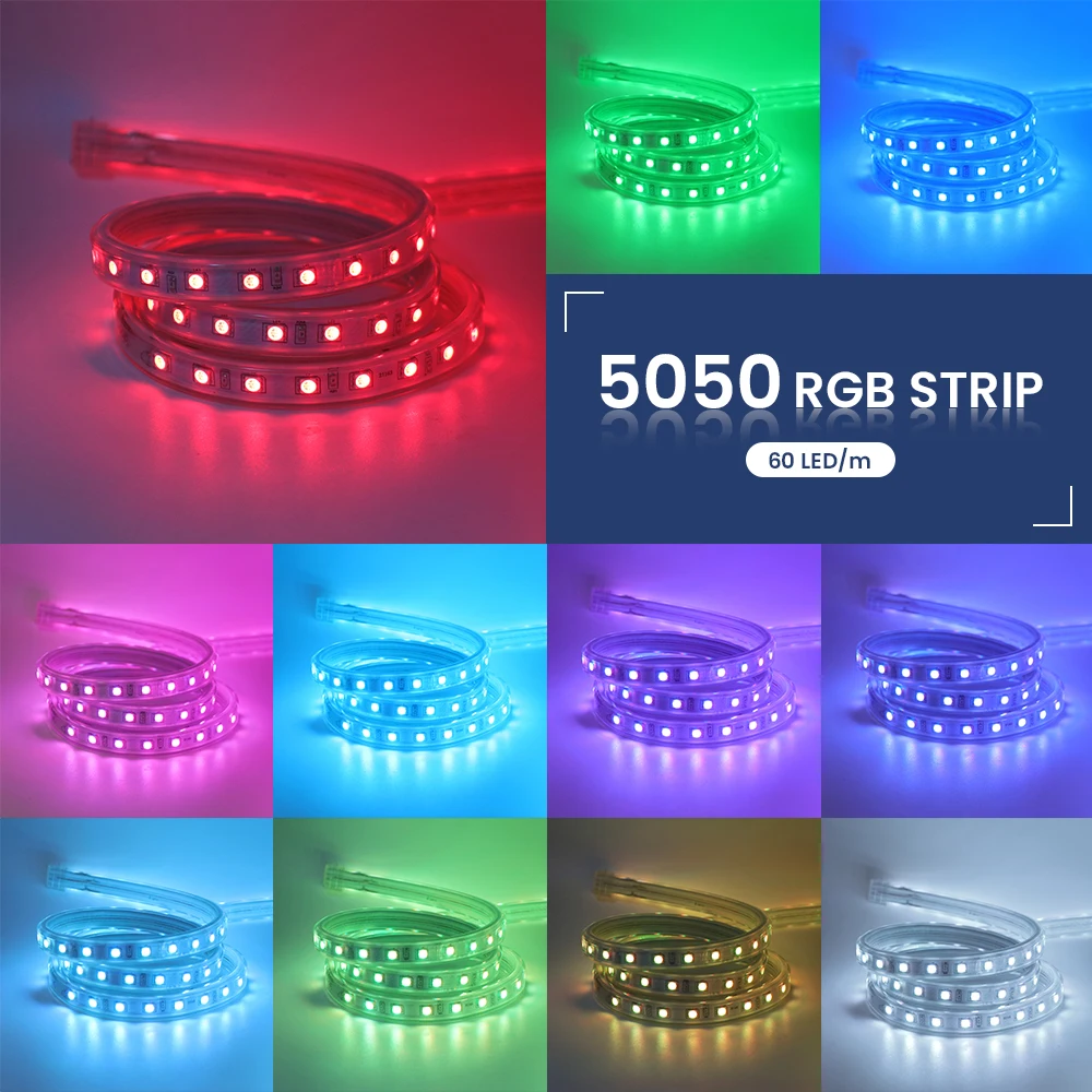RGB 5050 Led Strip Light 220V 60LEDs/M Outdoor Waterproof Led Tape Ribbon Remote Control Flexible Led Stripe Rope EU Power Plug