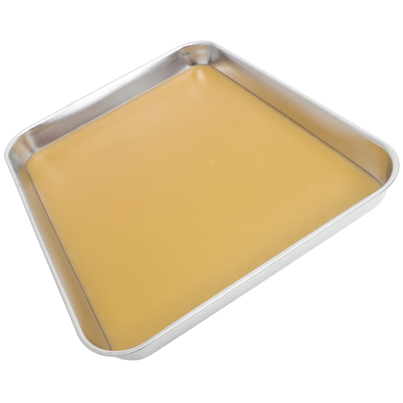 

Experiment Equipment Anatomy Tray Stainless Steel Dissection Trays for Students