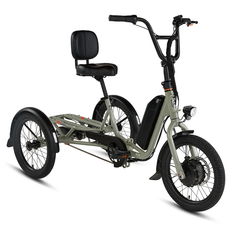 Three Wheel Electric Bike for Disabled fold-down handlebars 55 Miles Front Hub Motor 750W Hauling Beach Gear and BBQ supplies