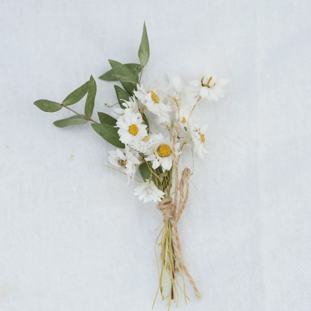 Card Decoration Flowers Easy To Use Mini Dried Flower Bouquet Preserved Flower Bouquet Sustainable Souvenir Chest Flowers