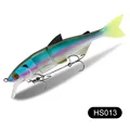 HS013