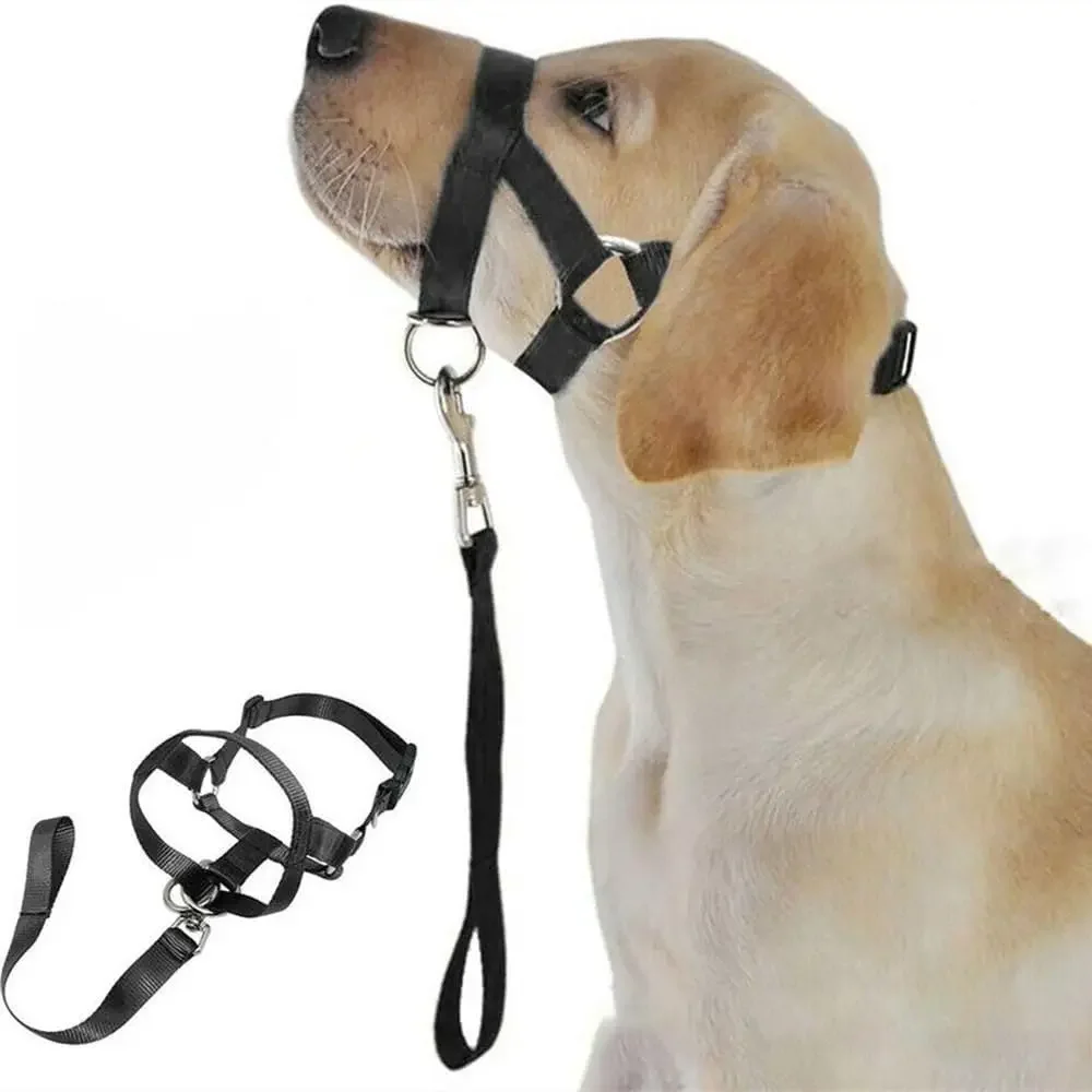 Adjustable Dog Headcollar,Anti Pull Dog Muzzle Lead, Gentle Training Nose Strap with Leash for Medium Large Dogs Walking Control