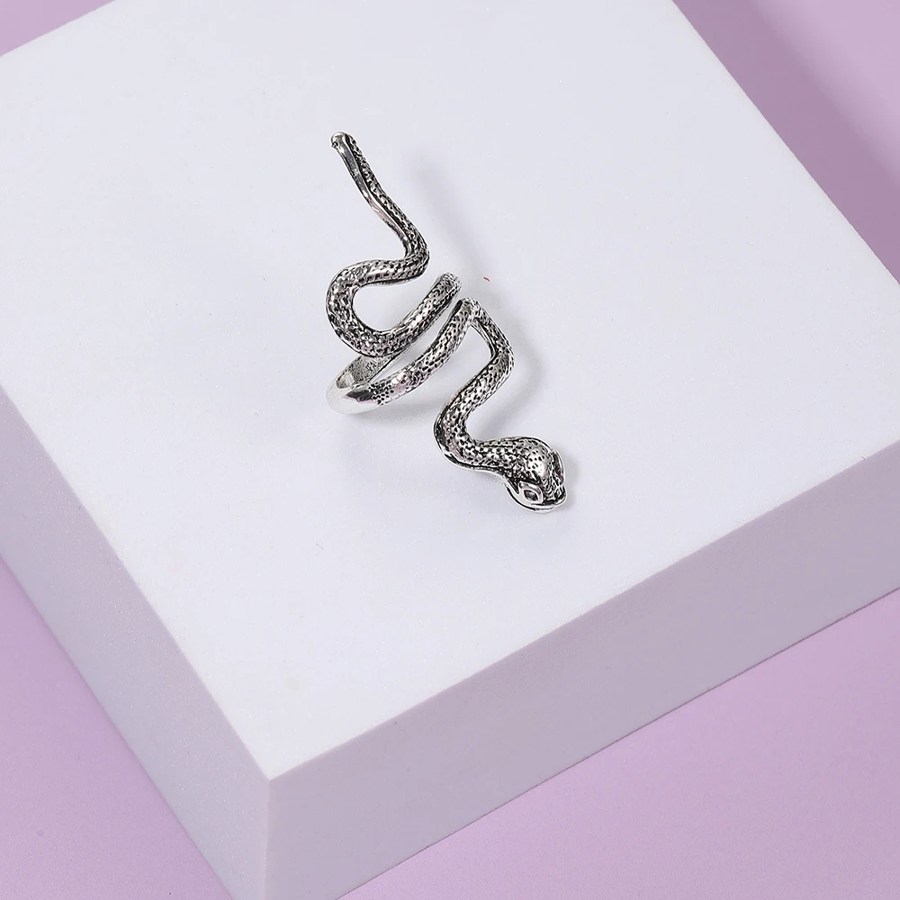 Hot Geometry Silvery Wrapped Snake Ring für Männer und Frauen Retro Trendy Vielseitig Personalisierte Punk Schmuck Geschenk Großhandel