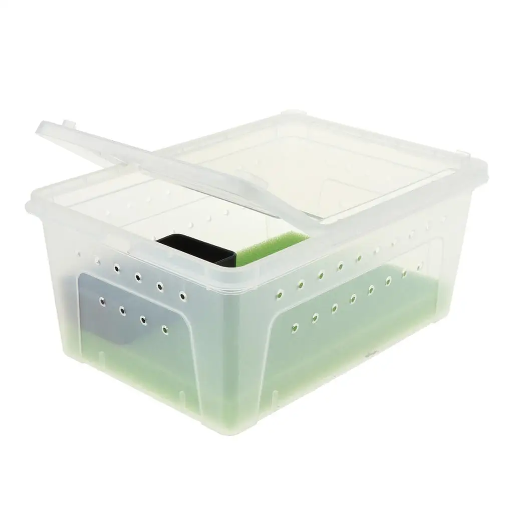 Transparent Box Reptile Transport Breeding Live Food Feeding Box