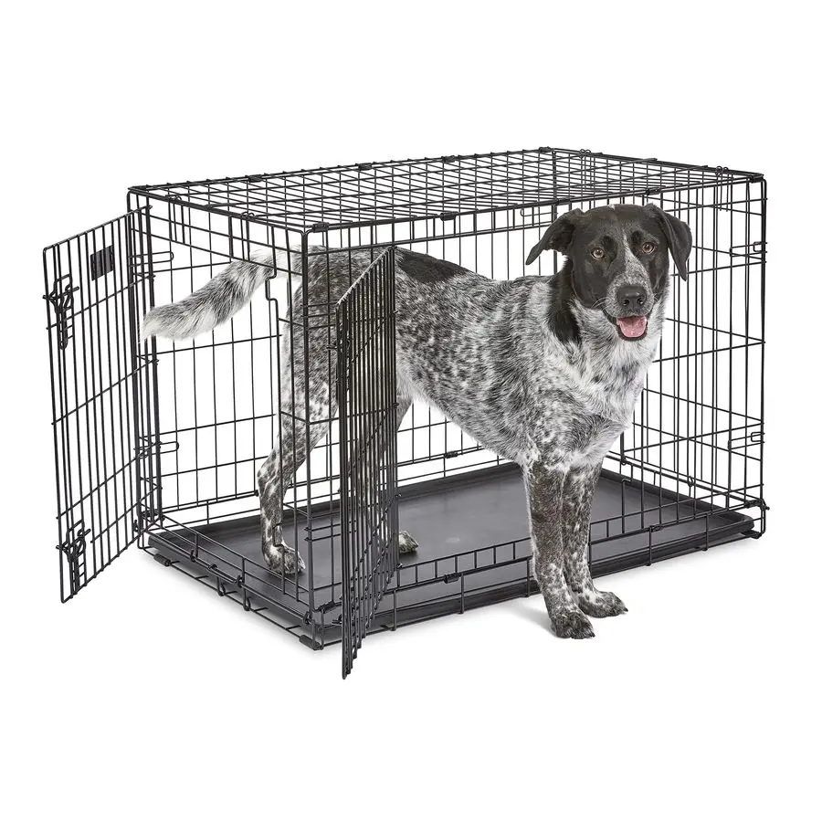 

36Inch TwoDoor iCrate Folding Dog Crate with Divider Panel, LeakProof Tray amp Secure Latches Metal Wire Kennel for ML Breeds Po