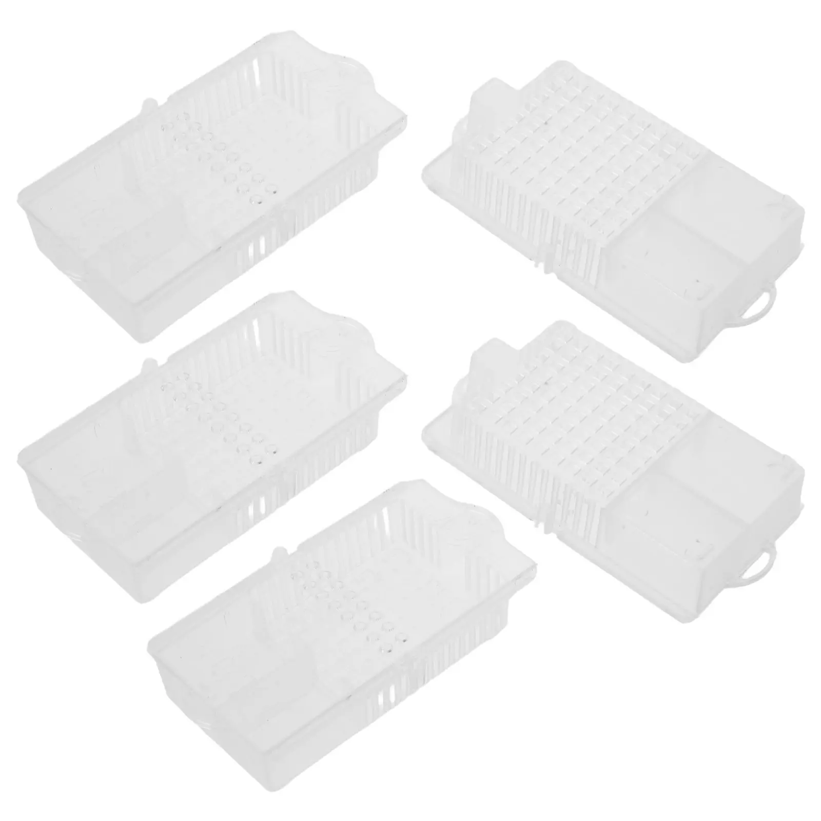 5Pcs Transparent Bee Queen Cage Dual-Chamber Design Beekeeping Box Rearing Tool Observation Clear Beekeeper Supplies Honeybee