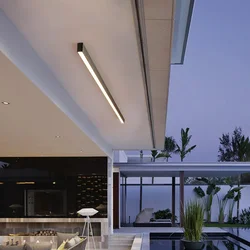 Modern Outdoor Long Strip Wall Lamp Entrance Light Rainproof Corridor Lighting Entrance Waterproof Garden Villa Ceiling Lamp