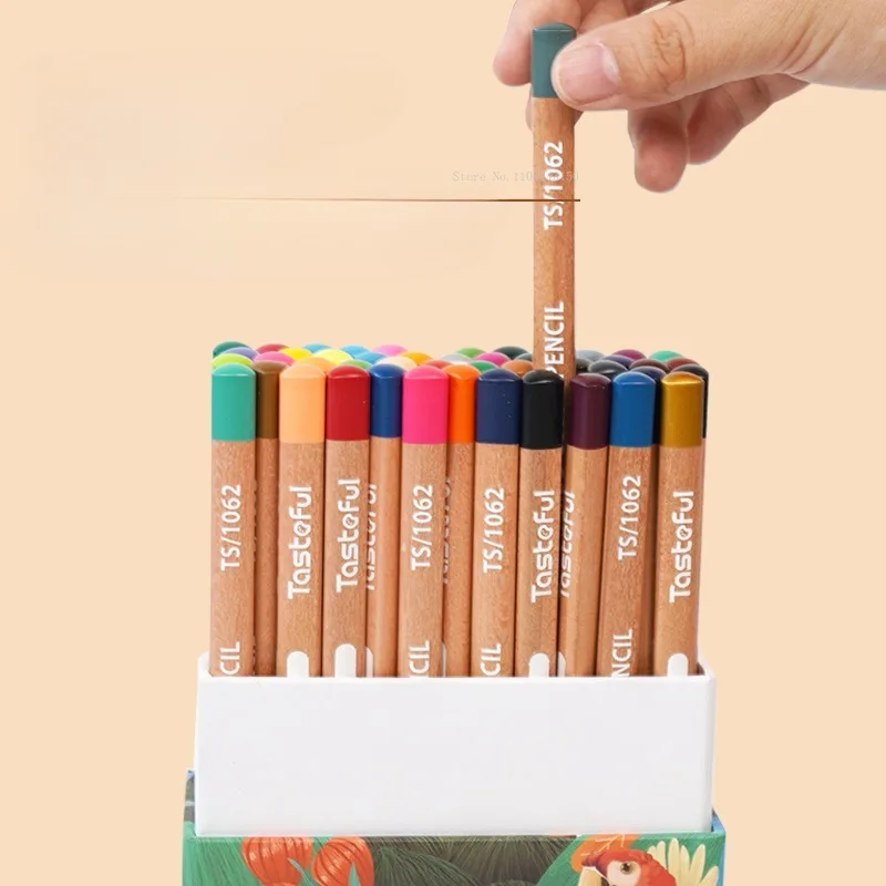 24/48 Color Oil-based Pencil Set Triangle Rod Wooden Paintbrush Art Professional Drawing Supplies Children's Doodle Pencils