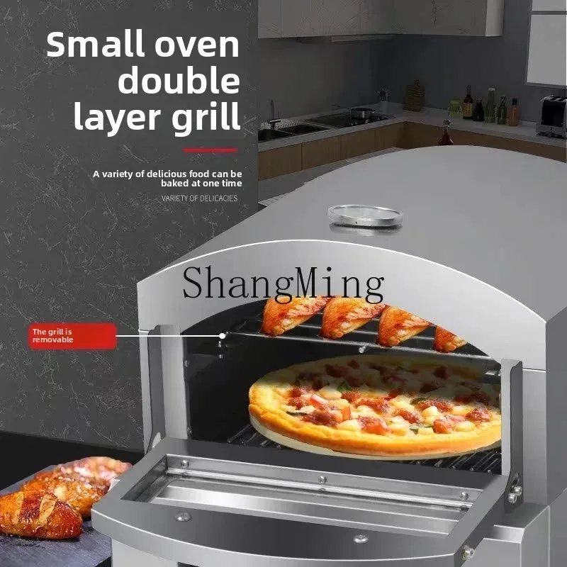 LXY Forno elettrico commerciale Forno per pizza Forno domestico multifunzionale