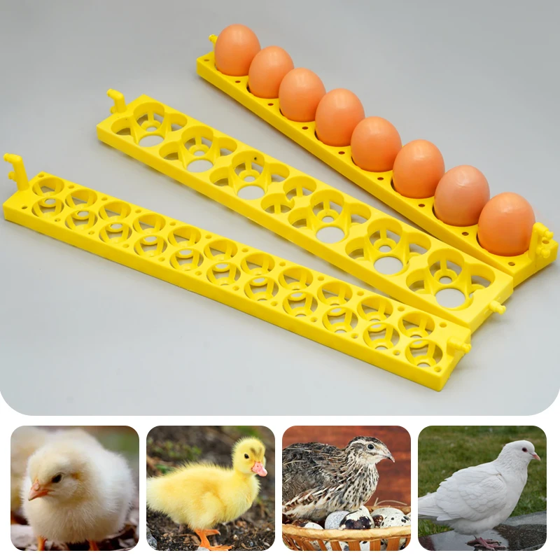 Automatic Egg Incubator Plastic Automatic Incubator Egg Tray Chicken Egg Incubator Holder for Poultry Chicken Duck Tools Parts