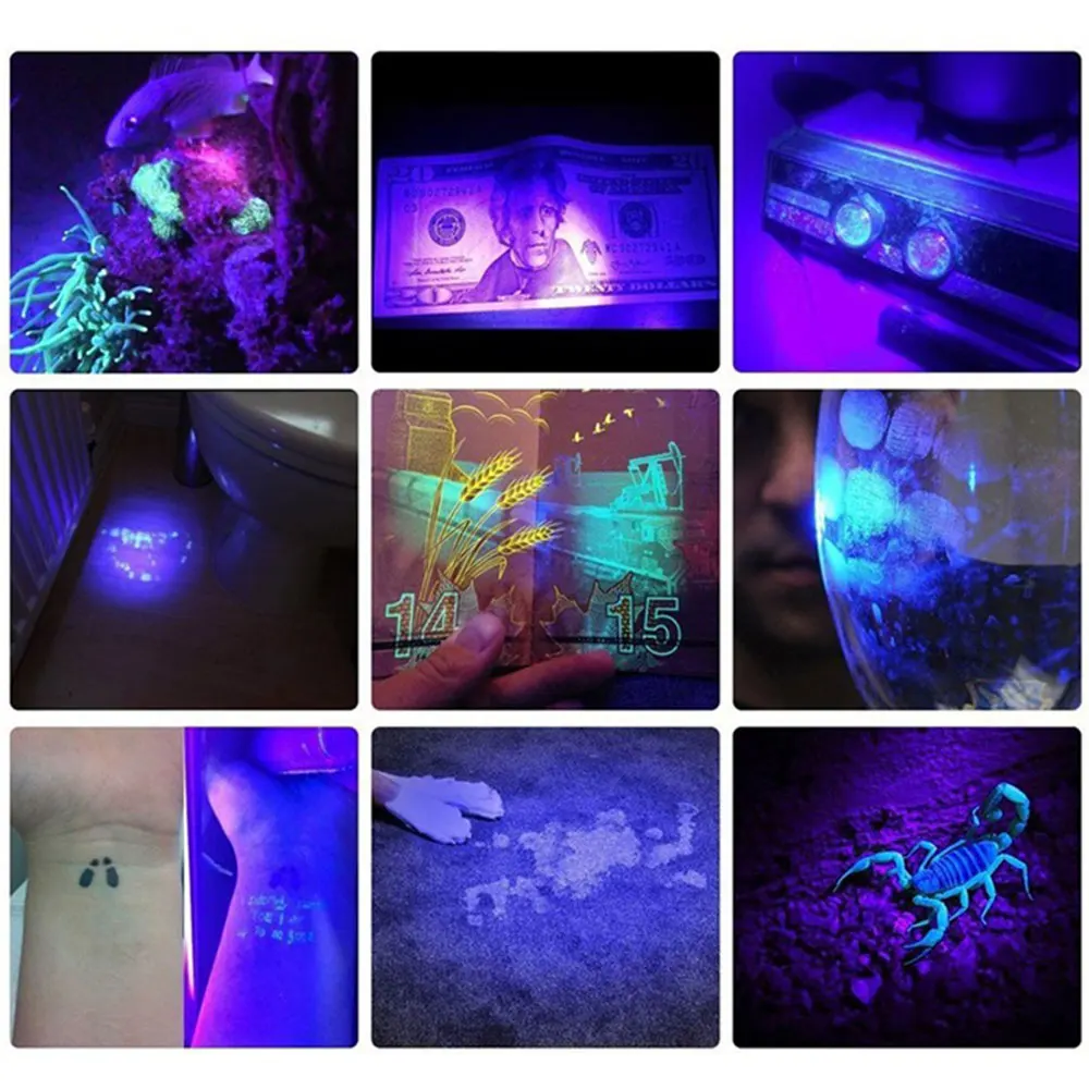 Portable USB UV Ultraviolet Black Light 395nm/365nm LED Flashlight 1 Mode Zoom Torch Pet Urine Stains Scorpion Amber Detector