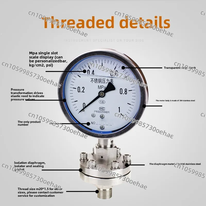 YTP100ML MF Stainless Steel Diaphragm Pressure Gauge, Flange Pressure Gauge, Diaphragm DN25 DN50