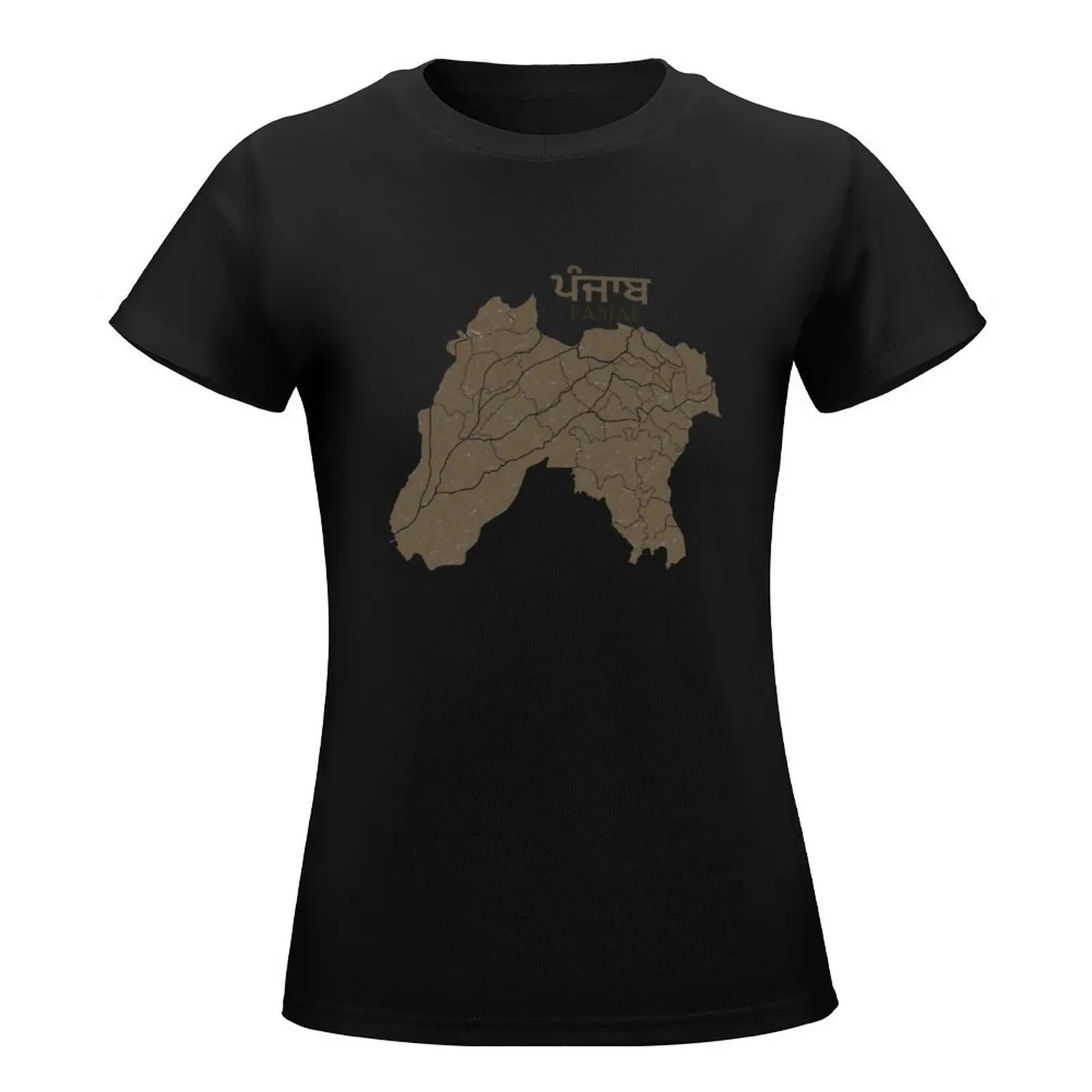 Map of undivided Panjab Old Panjab map T-Shirt customizeds vintage clothes Women's cotton t-shirt