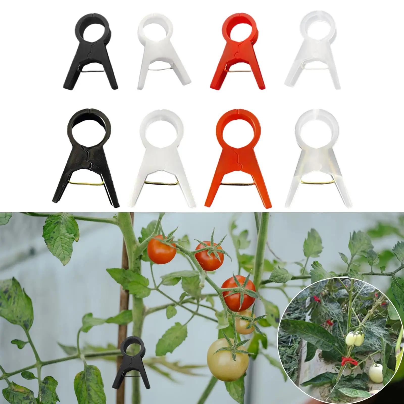 Pinces à Plantes Réutilisables, 100 Pièces, Accessoire de Croissance Verticale, Portable, pour Concombre, Raisin, Vigne