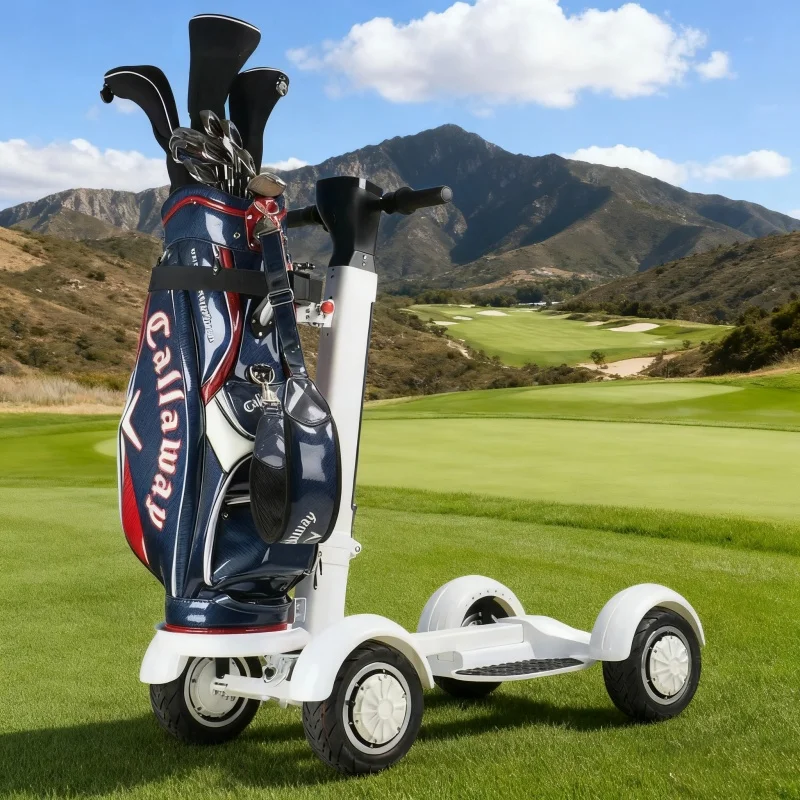 

Portable Folding Electric Scooter, Lightweight 12kg, Quick 3s Fold, for City Commute, Metro, Bus.