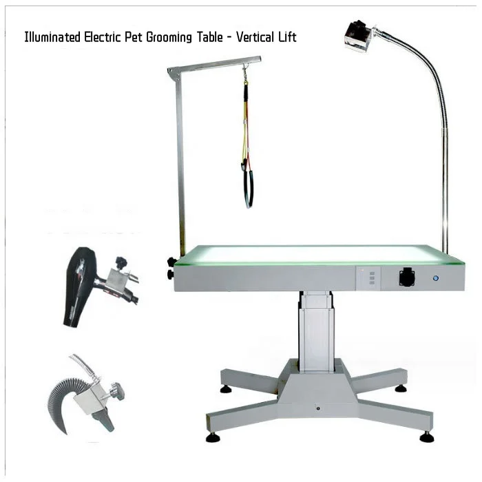 High Quality New LED Electric Lift Dog Grooming Table Lighted Table Dog Grooming Styling Visualizer for Pet Salon