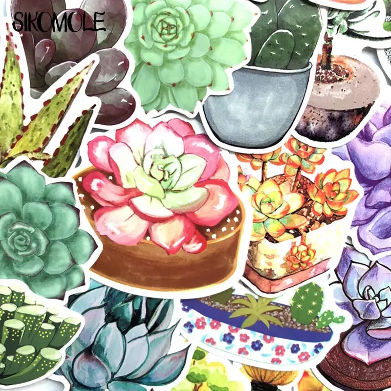 10/30/71PCS Plant Succulent Potted Cactus Small Fresh Mobile Phone Laptop Luggage Guitar Case Skateboard Fixed Bike Stickers F5