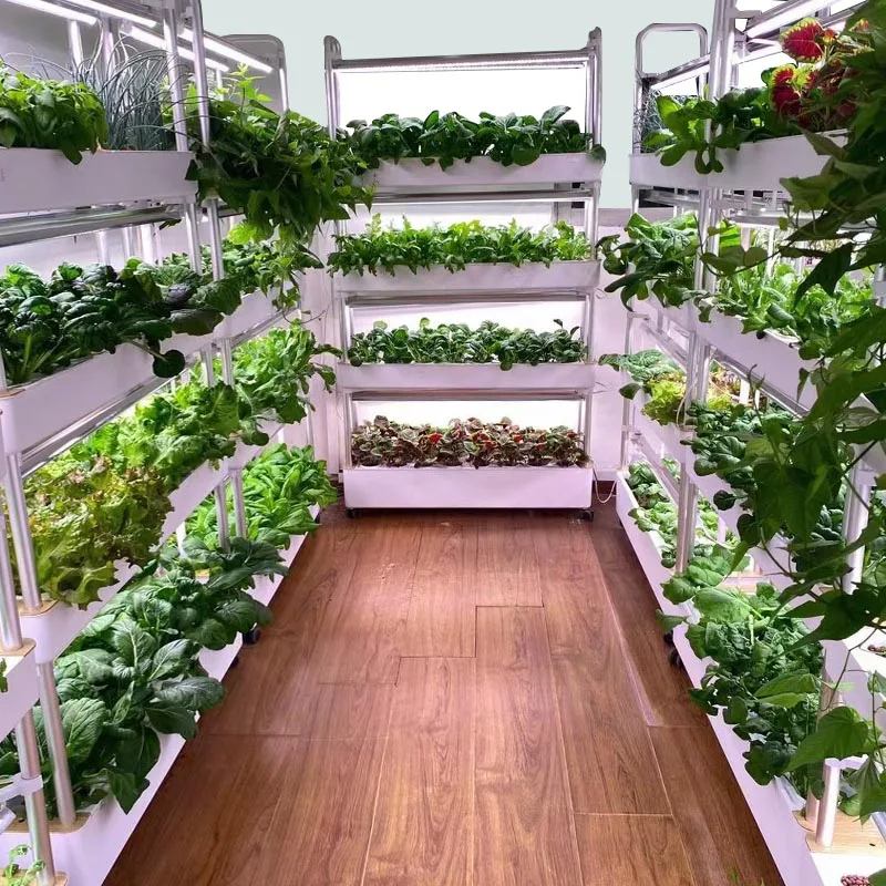 نظام زراعة ydroponic نظام أتمتة المنزل الذكي للبيع حار بيع المنزل الجديد الدفيئة نظام الزراعة المائية العمودي H