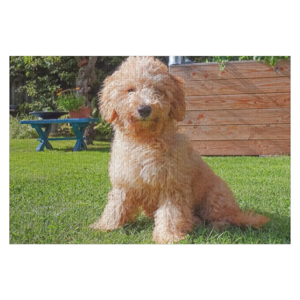 

Cute Poodle Jigsaw Puzzle Wooden Boxes Toddler Toys Wooden Name Puzzle