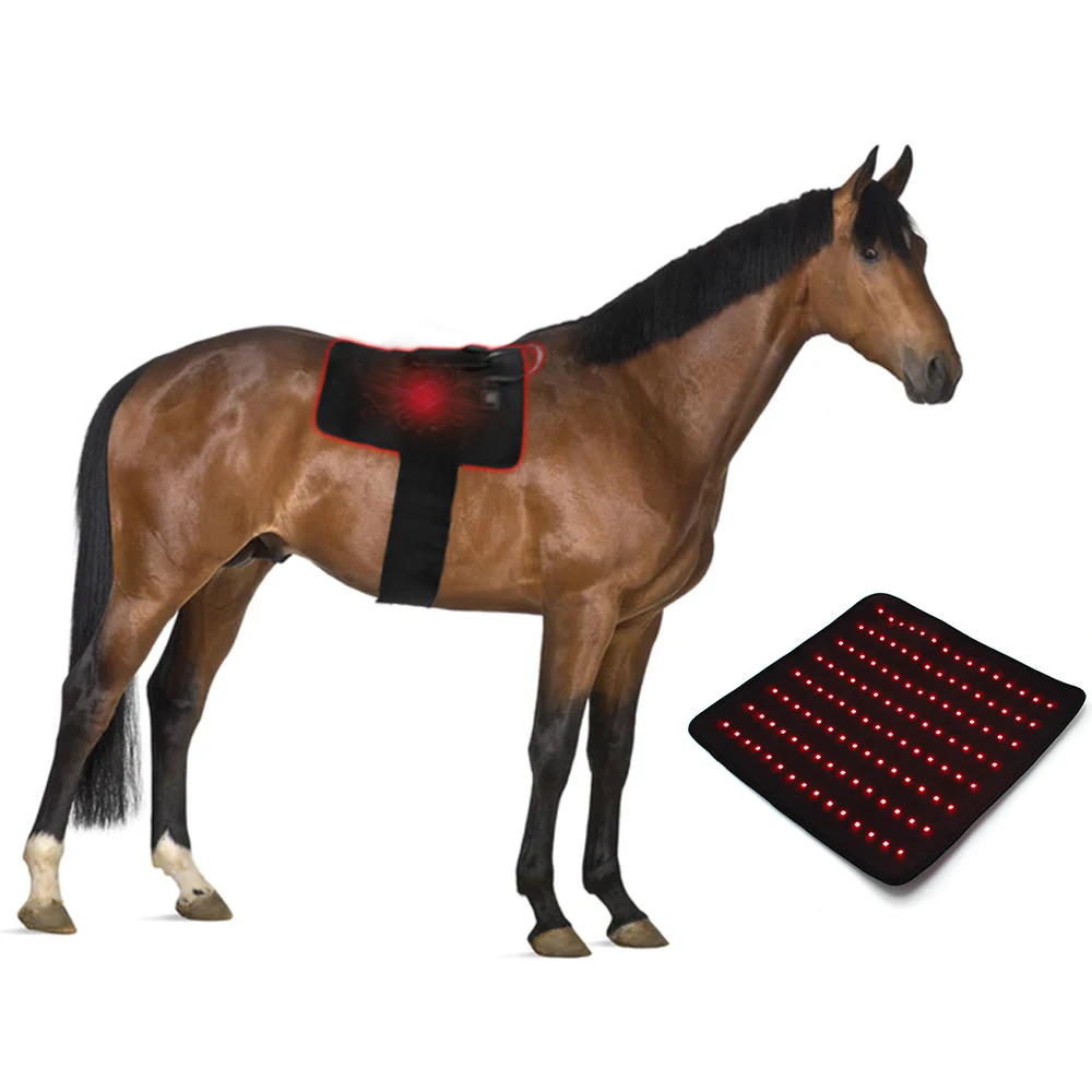 LEDEAST YD-003 660nm 850nm Near Infrared Light Pet Therapy Led Lamp Horse Red Light Therapy Pad For Horse Back