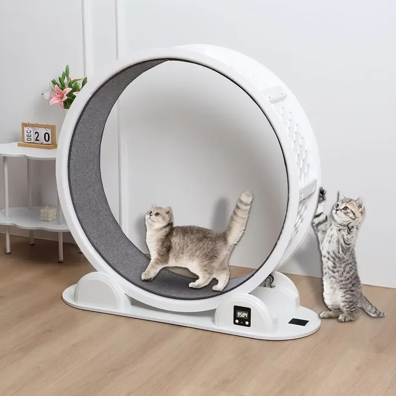 for Large Cat Indoor Fitness Toys Exercise Wheel Treadmill Pet Running Wheel Sports Roller Pedometer