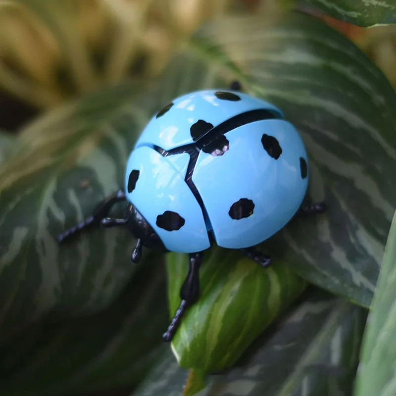 Carica Coccinella Giocattoli bionici Scherzo creativo Giocattolo di insetti animati Modello Animali di plastica per bambini Scarabeo Scarabeo Giocattolo di carica