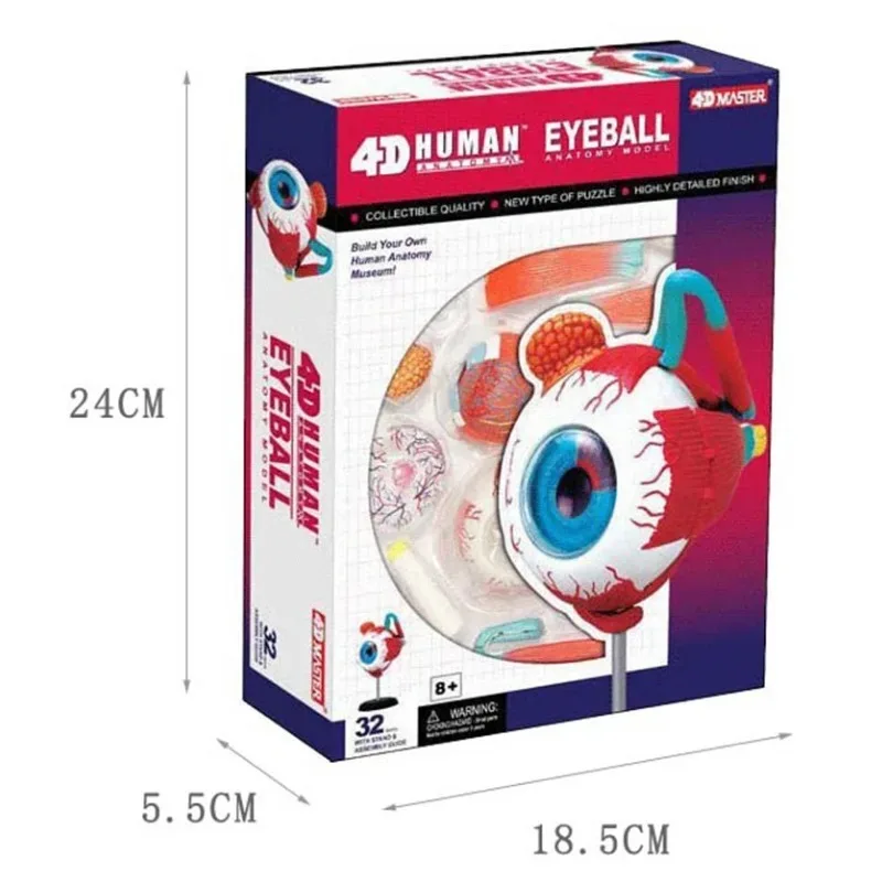 4d Master Human Eyeball Eye Anatomy Model puzzle Assembling Toy  Anatomical Medical Teaching Aid Laboratory Education Equipment
