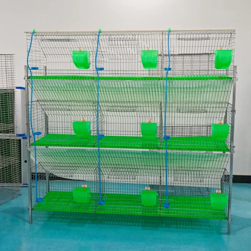 

New Hot Selling Customizable Plastic & Galvanized Welded Wire Mesh H-Type Rabbit Cage
