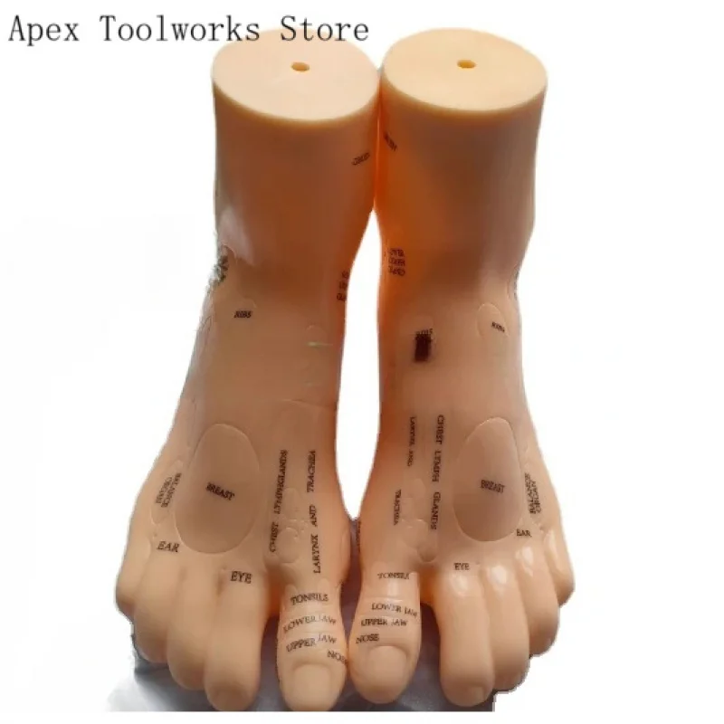 19cm Foot Zone Massage Model, Not Acupuncture Model, English Code TCM Feet Reflexology, 2pcs = 1 Pair