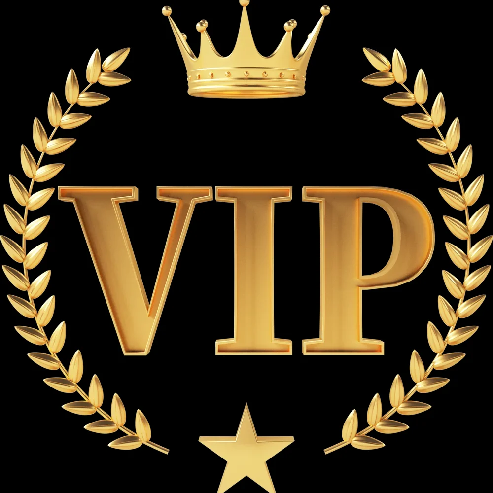 VIP Payment Specific Link