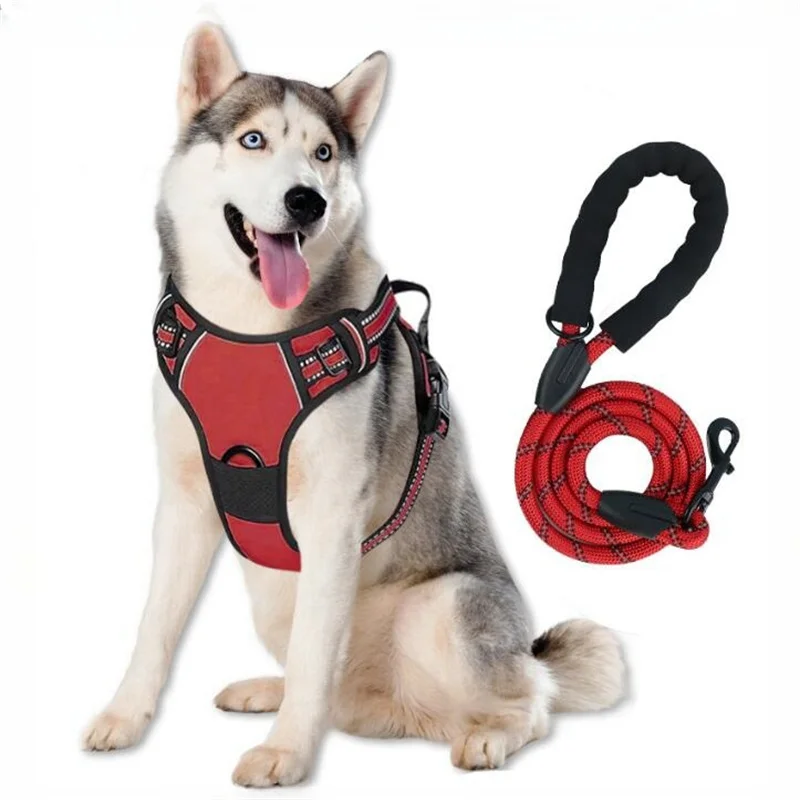 

Light Luxury Dog Harness Leash Set with Handle Fluorescent Padded Strong Dogs Accessories Nylon Adjustable Secure Arnes Chest XL