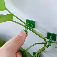 Plant Vine Traction Holder Invisible Plant Climbing Wall Fixture Clips Self-Adhesive Hook Indoor Outdoor Twisted or Fastened - Image 3