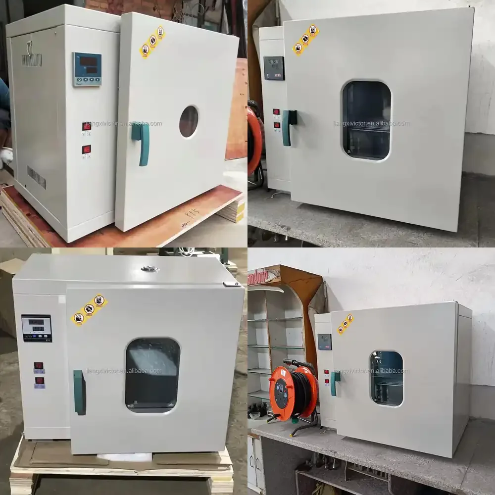 

Laboratory 10-300 Degree Electrothermal Blowing Thermostat Dry Oven Drying Oven for Sale