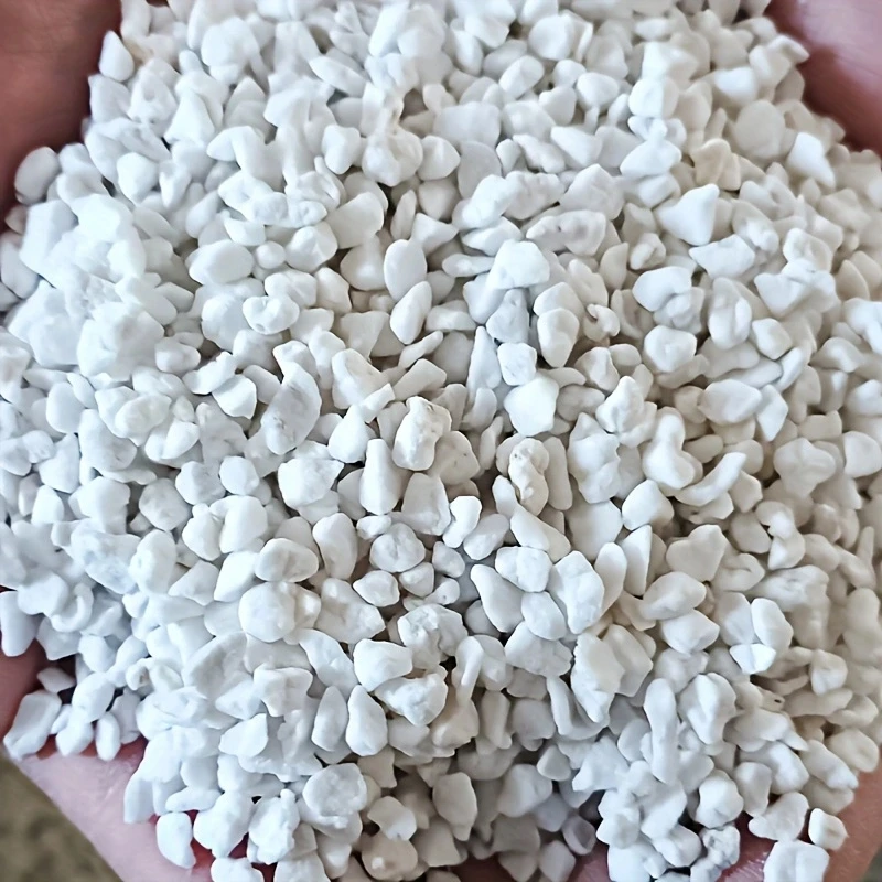 1 Pack of 3-6mm Horticultural Perlite for Seedling Cultivation, Flower Soil, Gardening Expansion, Water Retention, Breathable Soil Mix Medium, 2.5L Soil Enhancer