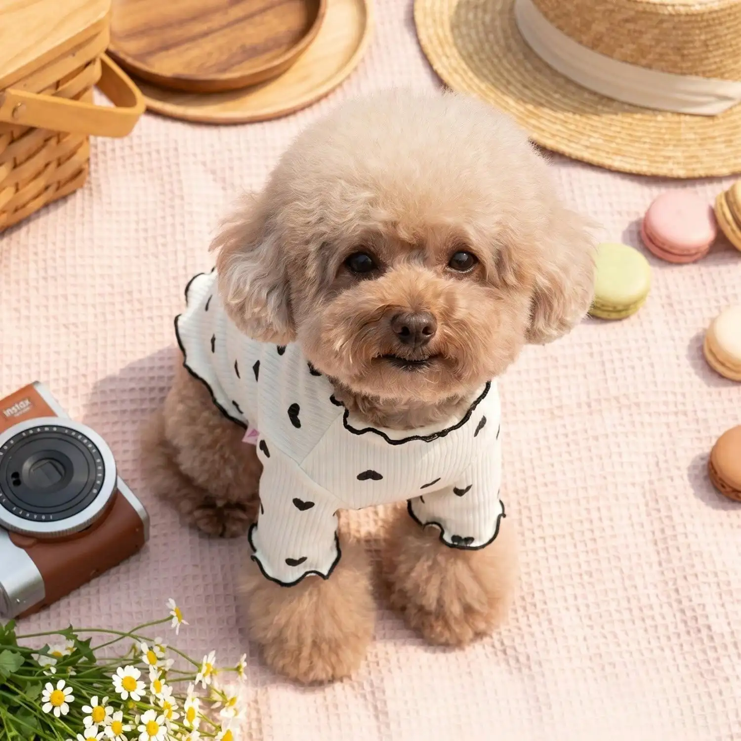 Geripptes Haustier-T-Shirt mit Herz- und Schleifendruck und Rüschenbesatz für kleine Hunde und Katzen – Detail 13
