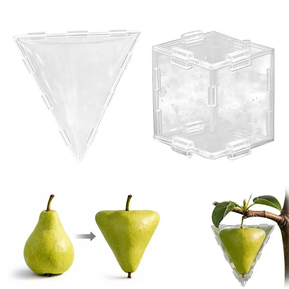 Fruit Shaping Mold for Tomato Strawberry Pear Growing Triangular Cubic Fruits Cage Support Reusable Vegetable Fruit Growing Mold