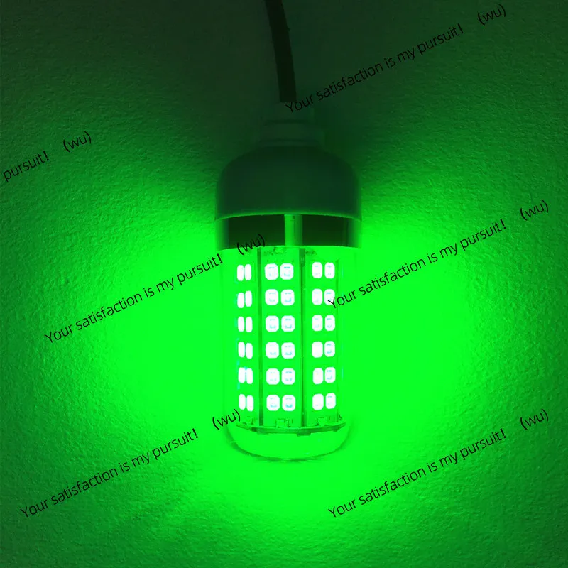 LED fish lure lamp 12V green light CE certification IP68 waterproof fish lamp white light blue