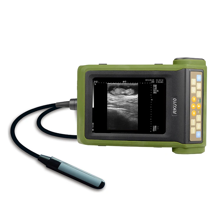 노트북 수의학 초음파 스캐너 휴대용 초음파 고급 이미징 기술 중국에서 신뢰할 수 있는 수의학 초음파