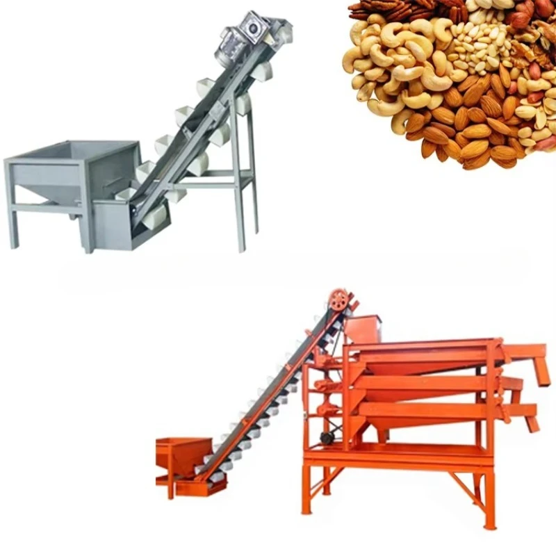 Multifunctional Easy Operation Almond Sorting Machinery Nut Sorting Machine Manufacturer Supplier