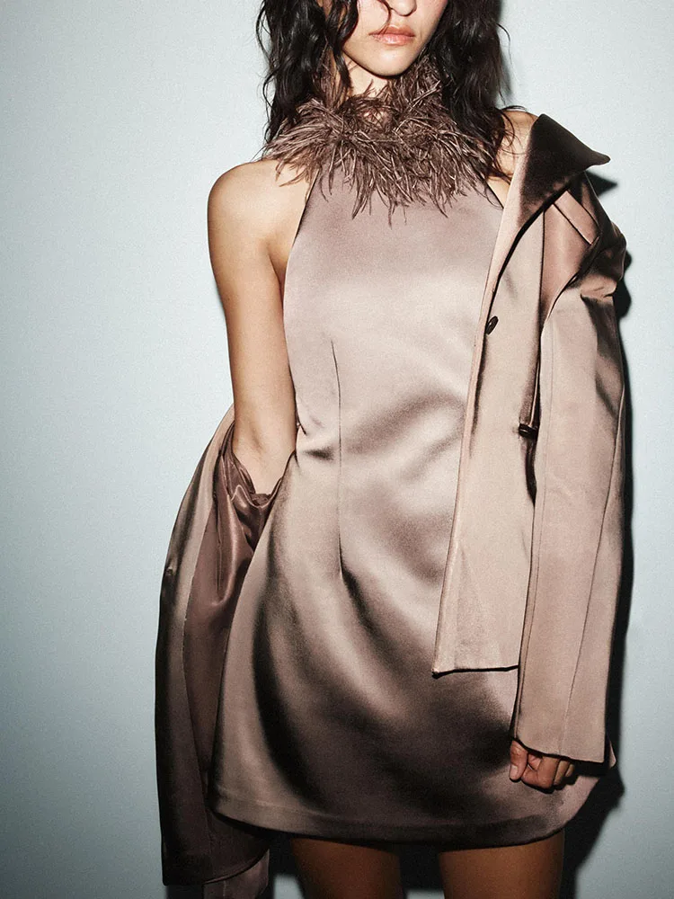 Faionable Sexy Bal Feather Versierd Hangende Kraag Dr Nieuwe Collectie Winter 2025 Damesjurk Ele Avond Dr