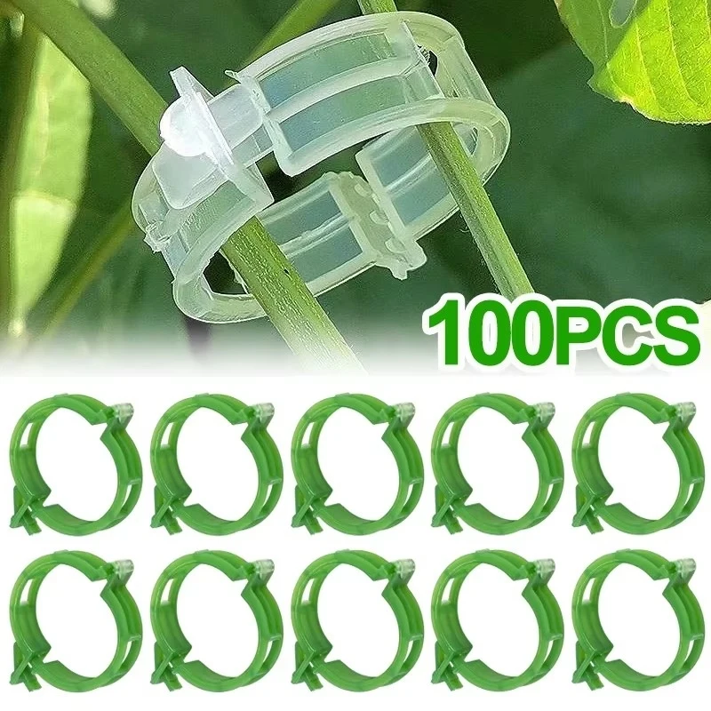 50-250Pcs Plant Support Clips Reusable Plastic Garden Vine Climbing Fixed Clip for Tomato Grape Vegetables Plants Stalks Holders