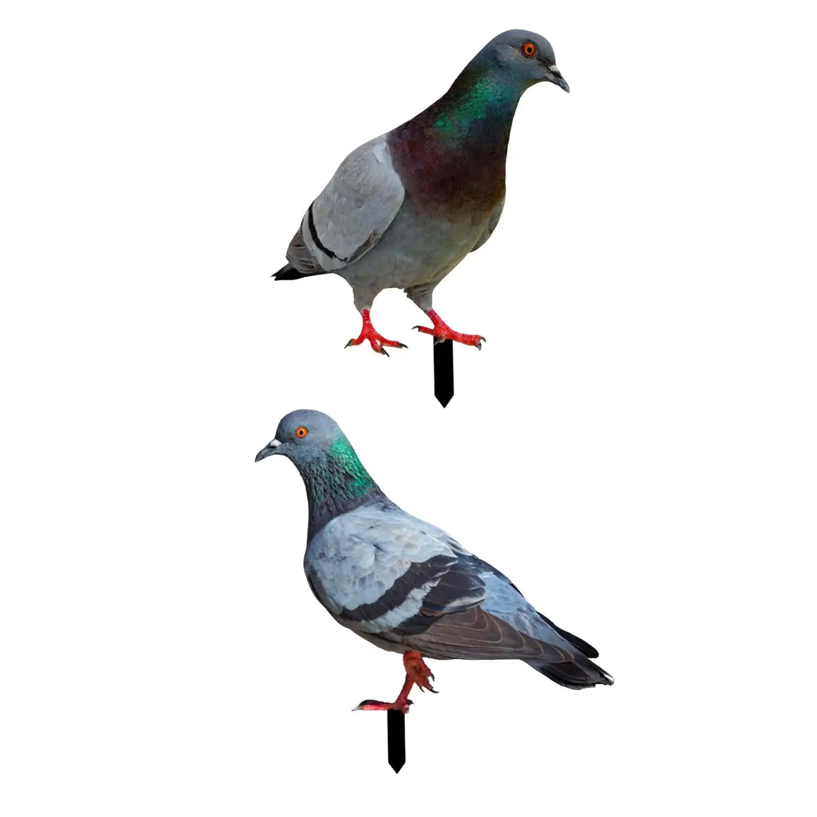 Estaca de jardín de palomas, letrero de patio realista, adorno realista, inserto de suelo de pájaro Animal para patio, césped, camino, granja