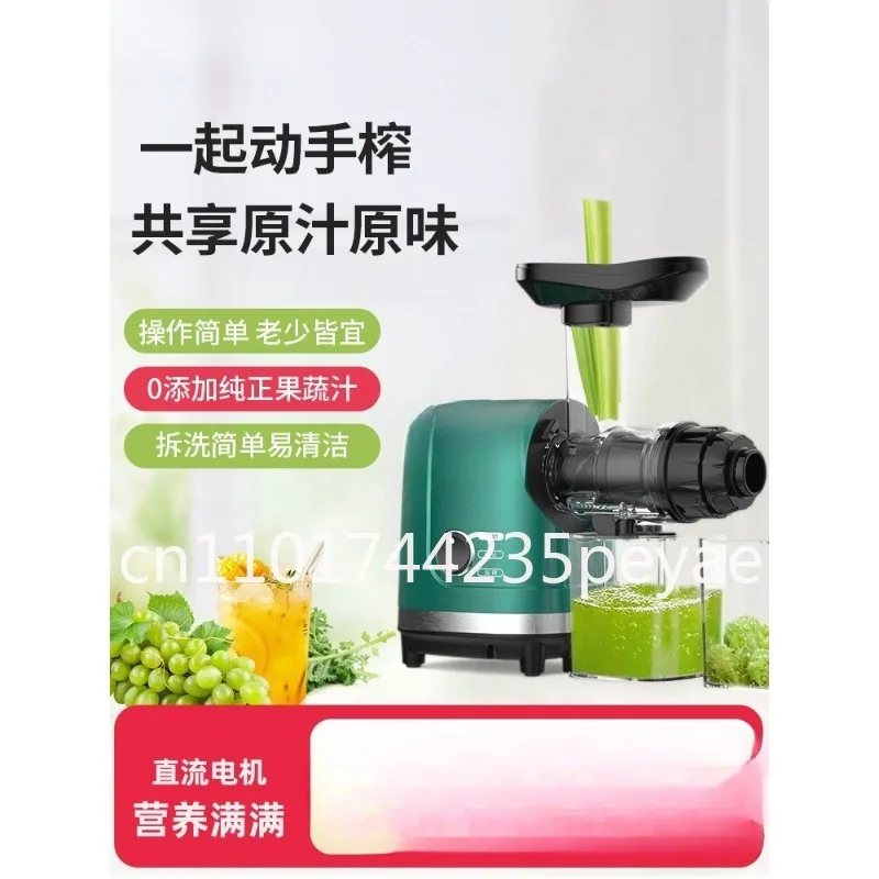 Masticating Automatic fruit juicer extractor juicer maker 250W electric Single Gear