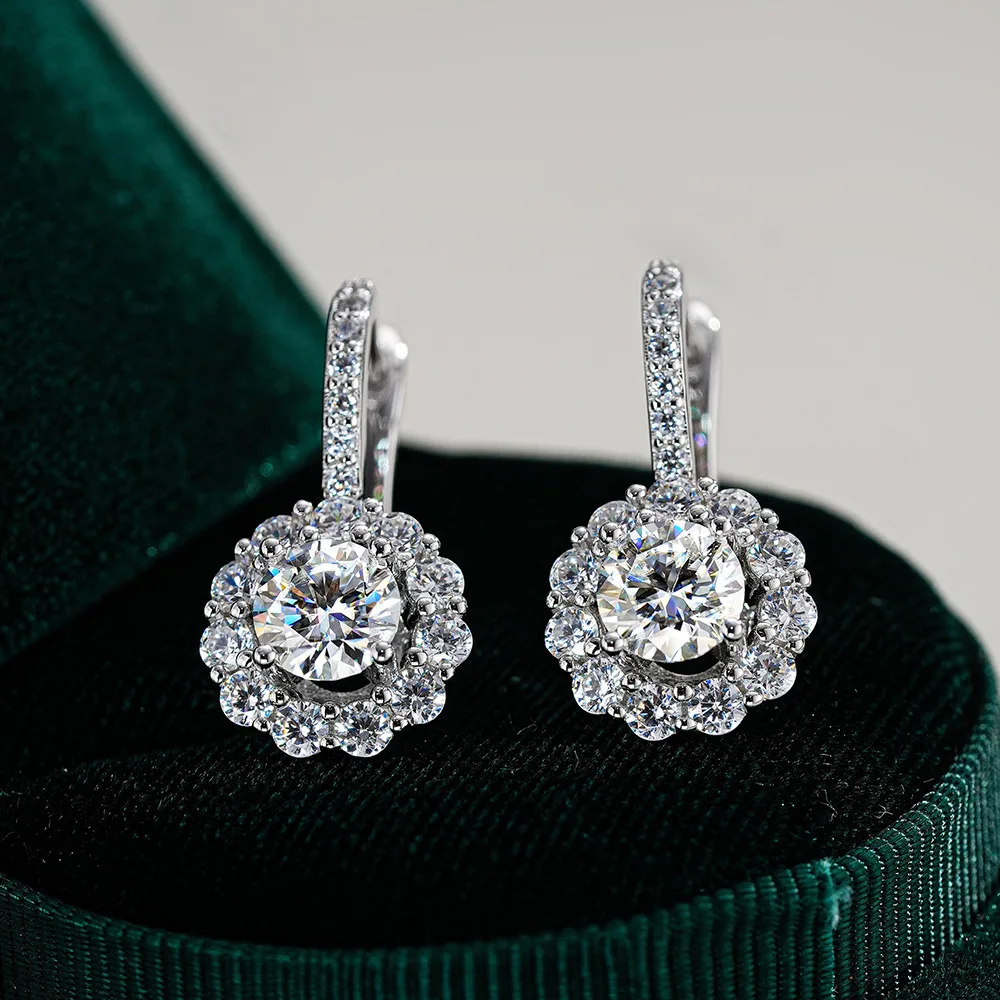 Hip Hop 18K Gold Moissanite Earrings for Men and Women, Fashionable Round Bag, Circular Moissanite Platinum PT950 Earrings