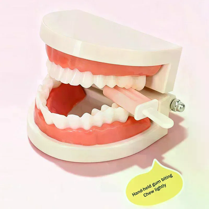 

Форма эскимо, зубные выравниватели, жевательные клетки для выравнивателей, фиксаторы, силиконовые зубные палочки, выравниватели для жевания зубов укуса